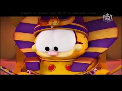 Video: Mister Rezolvat: Care Este Genul Pisicii Garfield?