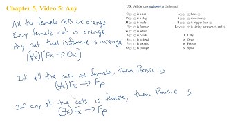 Chapter 5, Video 5: Any