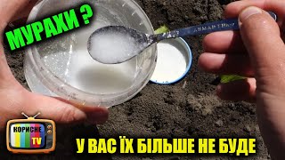 Мурахи В Городі! У Вас Їх Більше Не Буде Супер Ефективний Засіб