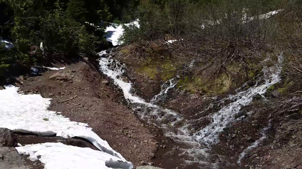 camera iphone 8 plus apk Cool Waterfall at the Switchback Trailhead in the Olympic National Park, Washington