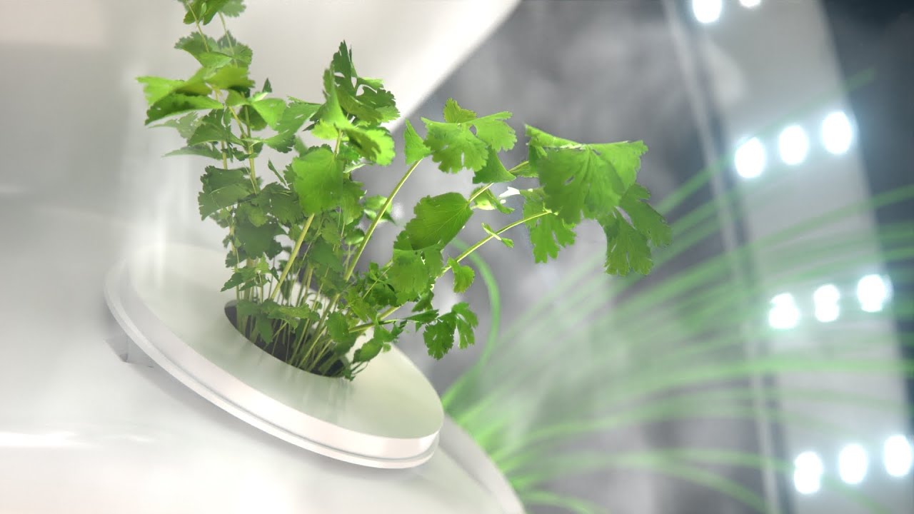 PlantaForm - Promotional Video / Amir Ziadloo