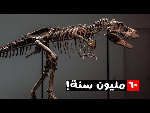 فيديو: ماذا يمكن ان تعلمنا الحفريات؟