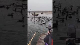 Fish fishing | Catching Fish | Hunting Fish From Hole Using Hook #003359