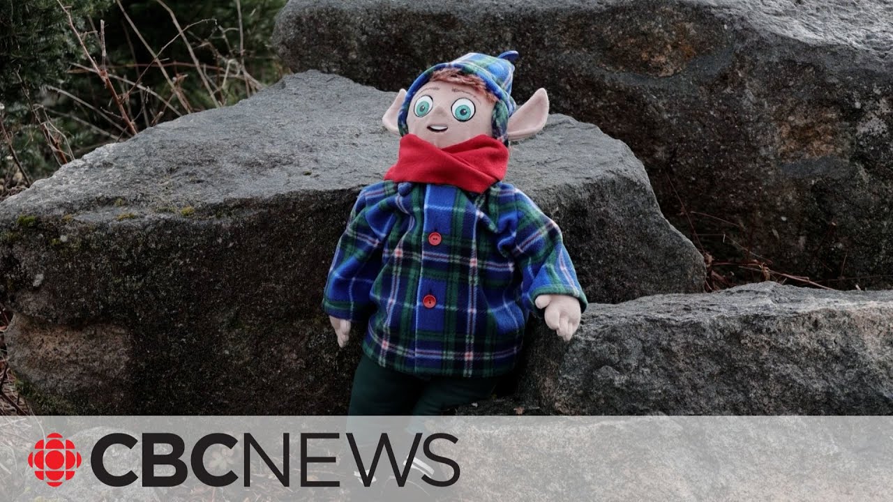 Meet the elf that protects Nova Scotia’s famed balsam fir Christmas