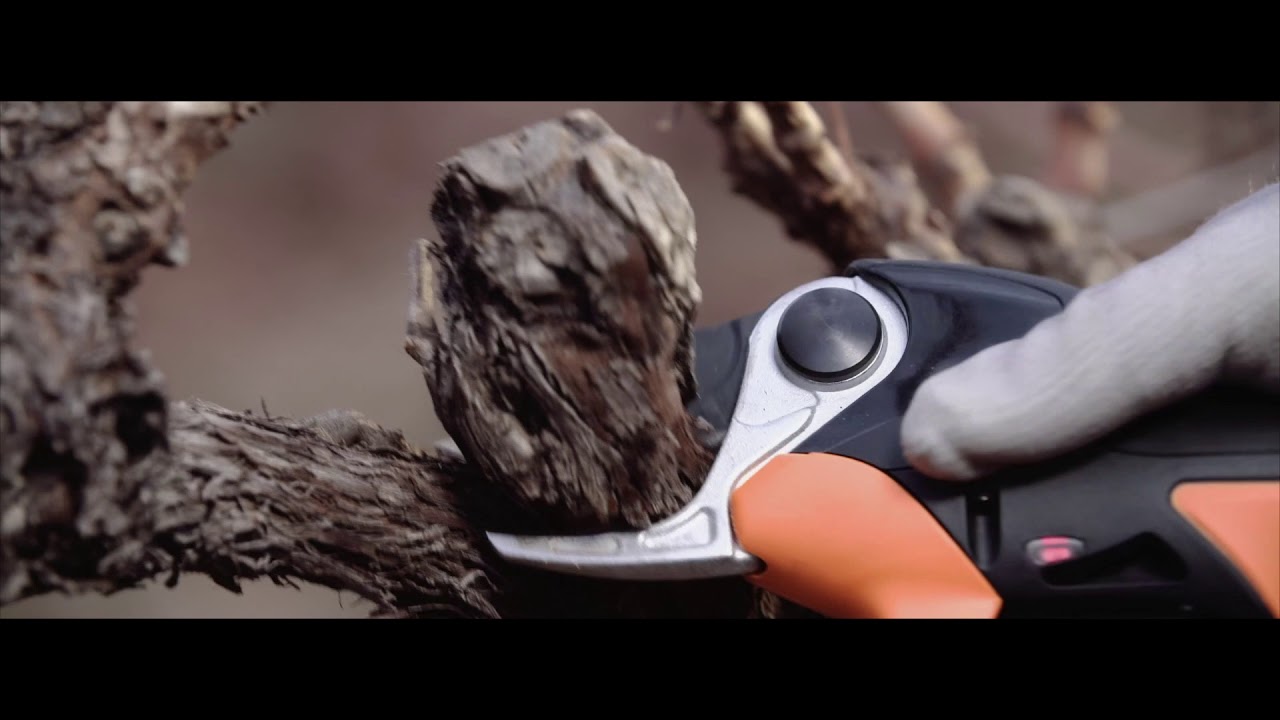 Pellenc Vinion Pruning Shears for Vineyards from Etesia UK YouTube