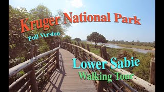 Lower Sabie Camp Walking Tour  FULL Let's Walk!  Kruger National Park, South Africa