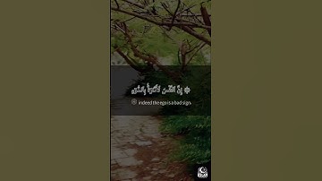 سورة يوسف الآية 53| 53 Surah Yusuf verse🙏like video