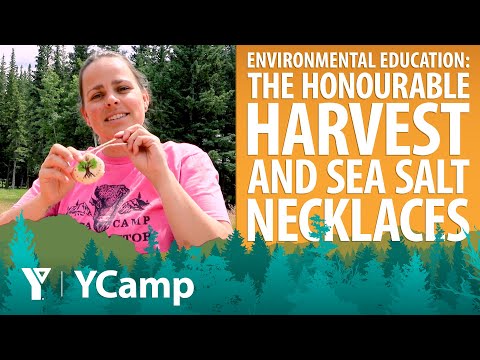 YCamp - Week 5 - Environmental Education (Ages 8-11)