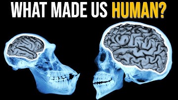 The Evolution Of Intelligence: 5 Key Breakthroughs