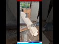 Amazing Woodworking Trick for Perfect Half Round Profiling #shorts #carpentry #woodworking
