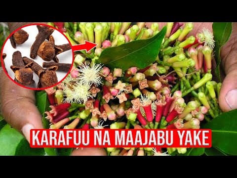 Video: Jinsi Ya Kuunganisha Karafuu