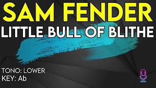 Sam Fender - Little Bull Of Blithe - Karaoke Instrumental - Lower