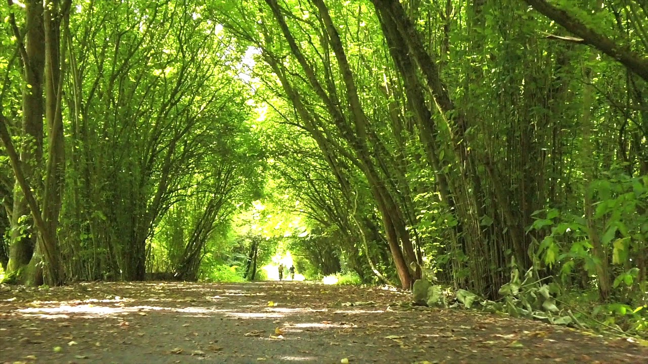 Parc Naturel Régional ScarpeEscaut YouTube