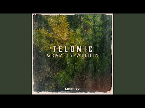 Telomic - After Hours