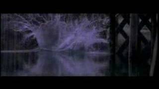 DINA - Trailer