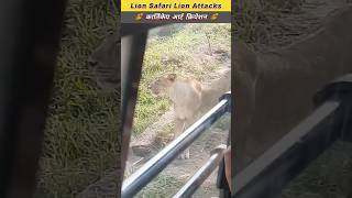 Lion Safari Lions| kartikeyartcreation shorts