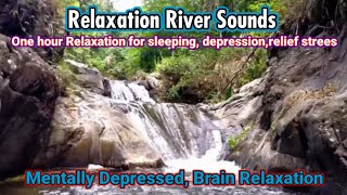 Relaxing Nature Sounds: Relax,Sleep,Bird Singing,Relieves Stress and Rivers Sound #Relaxingmusic