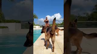 Lisa Hanna is a hot dog mom