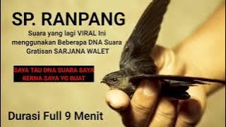 SP. RANPANG Ternyata Menggunakan DNA Suara Gratisan SARJANA WALET Edisi 2016