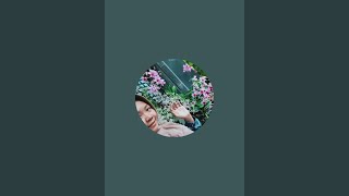 Ririn Anggrek sedang live sekarang!