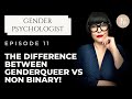 Non Binary vs Genderqueer | What's the difference?