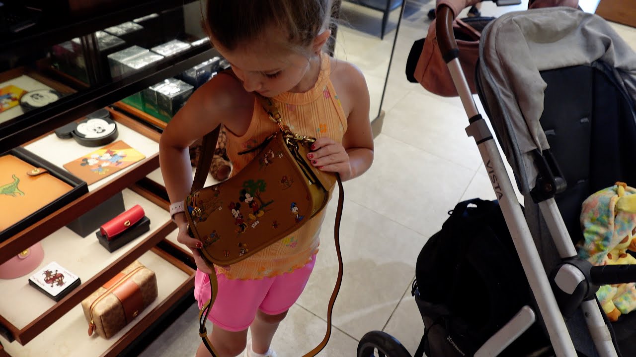 Day 3  - Animal Kingdom/Hollywood Studios/Disney Springs