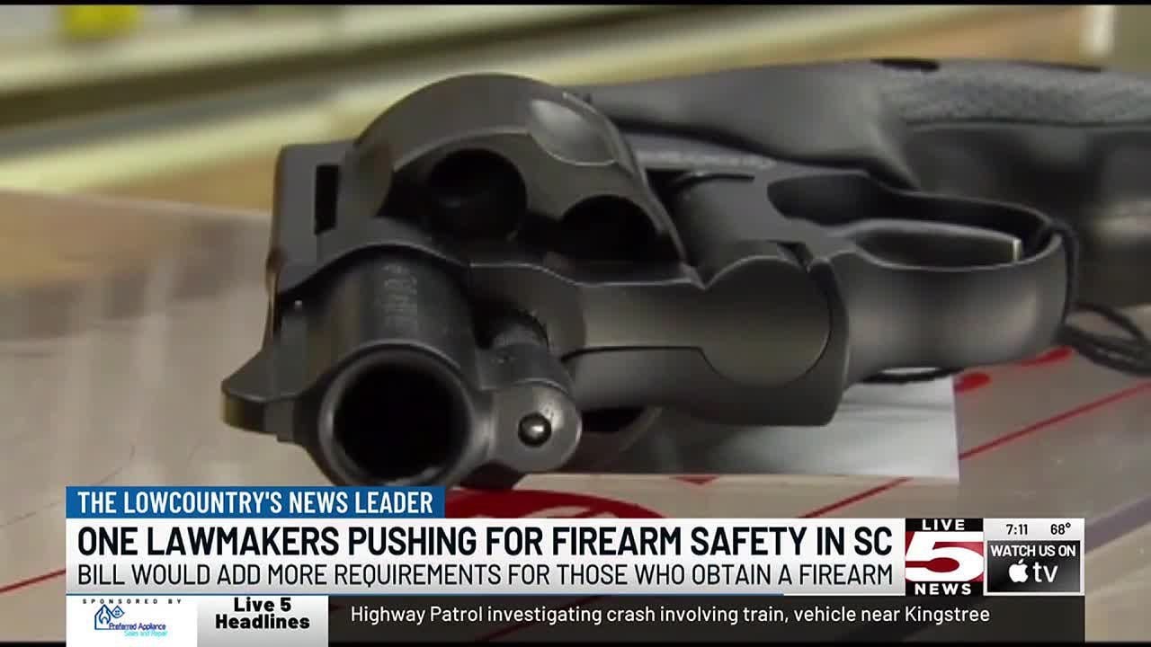 VIDEO SC State House Gun safety act on the table for 2024 legislative