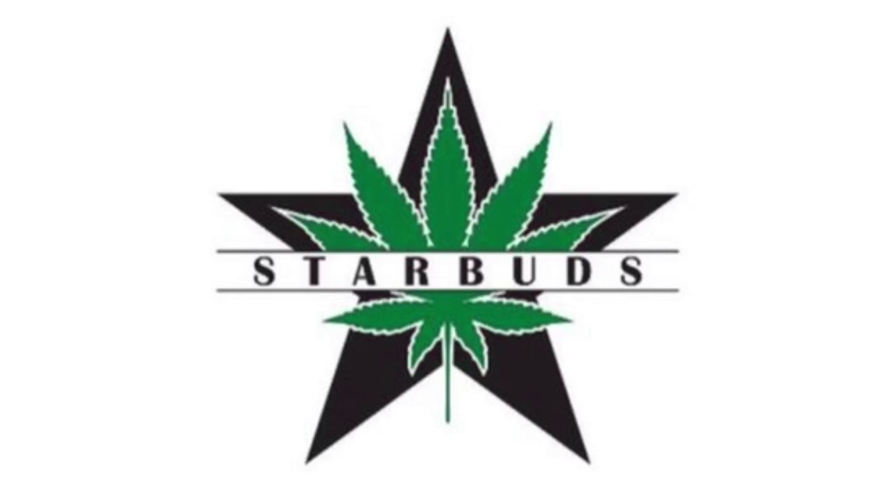 Starbuds Brighton Recreational Dispensary Tour