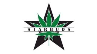 Starbuds Brighton Recreational Dispensary Tour