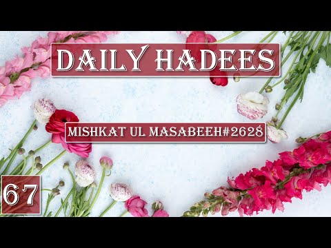 Daily Hadees # 67 (Qurbani Ka Janwar) | Mishkat Al Masabih Hadees # 2628 |#Shorts |#DailyHadees