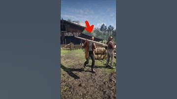 This RDR2 NPC Has a Daily Routine More Realistic Than You Think!? #rdr2 #npc #gaming #shorts