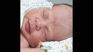 Predo Baby Diapers - Premium Comfort