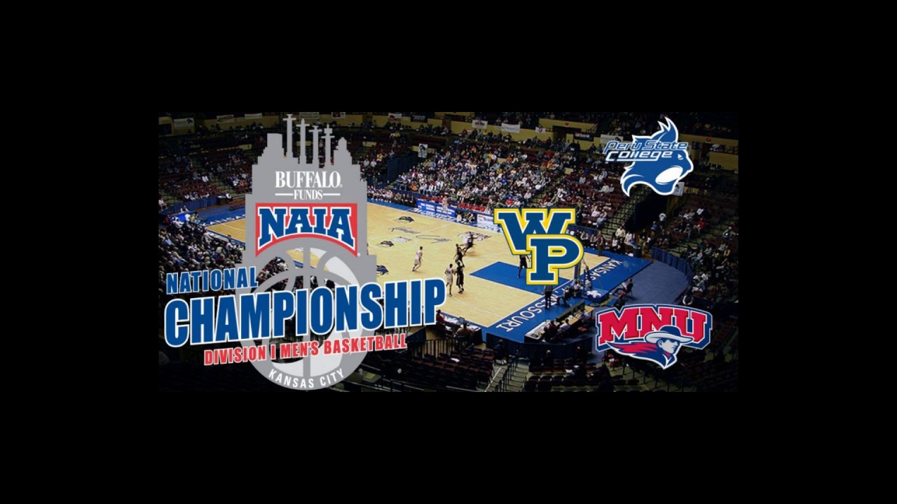 [Wikipedia] Non compos mentis