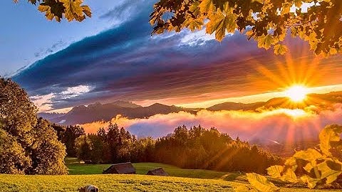 (وليحملن أثقالهم وأثقالا مع أثقالهم وليسألن يوم القيامة عما كانوا يفترون)  تلاوة ياسر الدوسري مميزة