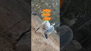 #santali har da bon hisko geya#localnews 📱shortsvideo#djviral #DJShorts
