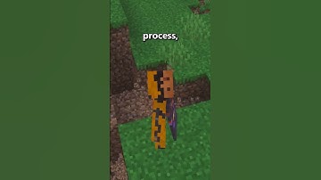 Een "nutteloze" storing!