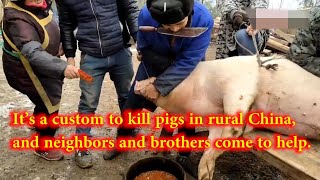 It’s a custom to kill pigs in rural China, and neighbors and brothers come to help.