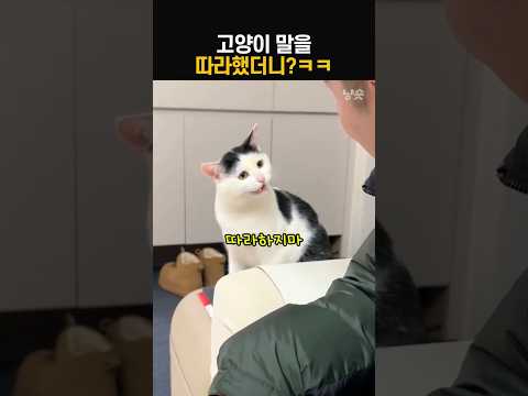 웃자 표지 3
