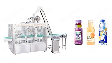 3 in 1 Non-carbonated Liquid Beverage Filling Machine | Rinsing Filling Capping Machinery