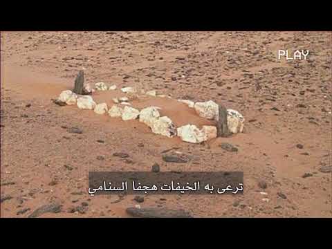 الفارس عفاس بن محيا