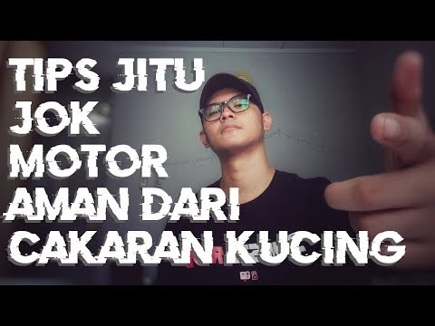 Video: Bagaimana cara melindungi jok motor kulit saya?