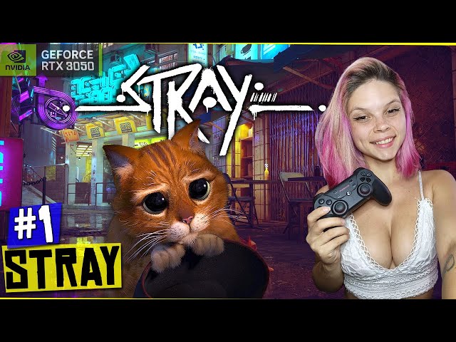 FOI JOGAR GAME DO GATO * e se empolgou * (Stray Completo) 