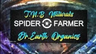 The Double Dungeon Ep 4: Autoflowers, Forum Stomper, Grow Good Organic Weed Cheap and Easy.
