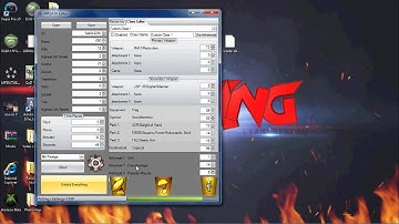 Mw2 SplitScreen Mod (USB)