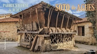 Parque Natural de Redes: Soto de Agues (Concejo de Sobrescobio, Asturias)