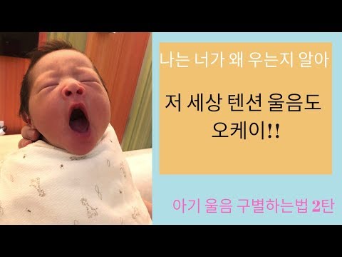 신생아 울음소리 구별하는법 2탄 | 던스턴 베이비 랭귀지 | 아기가 우는 이유 How to decipher your baby's cry