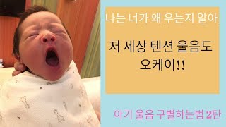 신생아 울음소리 구별하는법 2탄 | 던스턴 베이비 랭귀지 | 아기가 우는 이유 How to decipher your baby's cry