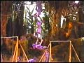 Disneyland Paris - Tarzan Show (2001)