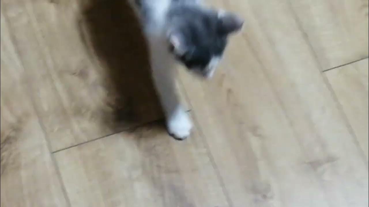 Стих у меня есть огромная семья. Кем. Цитаты не сотвори себе кумира. Ничего не слышно из-за моря все пока. Цитаты не сотвори себе кумира.