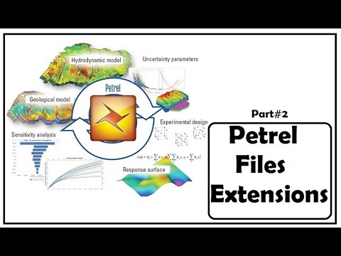 Petrel Tutorials | Petrel File Extensions #2